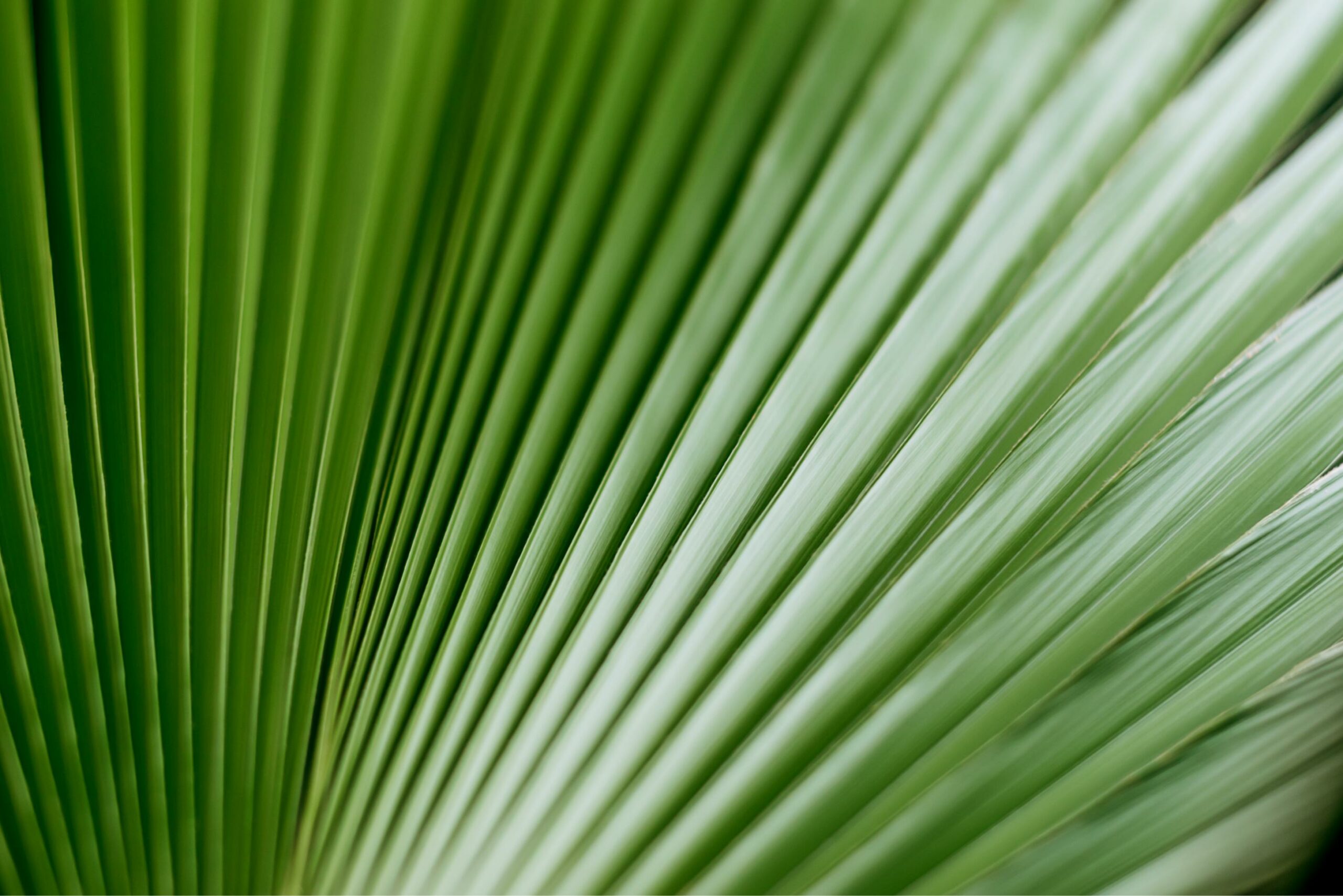 shutterstock_1918677881