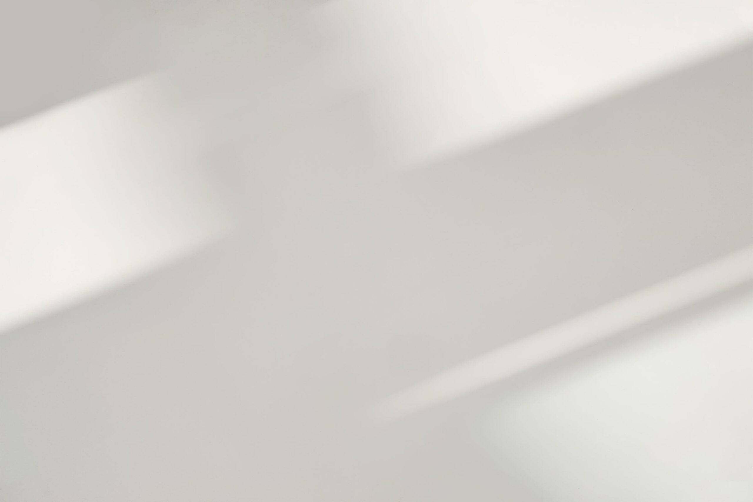 shutterstock_2497001183